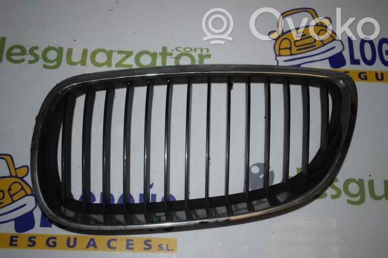 BMW 3 E92 E93 Front grill 