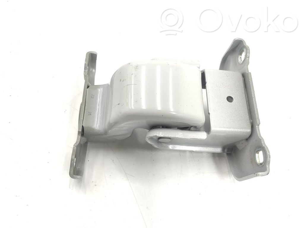 Renault Trafic III (X82) Set balamale ușă spate 