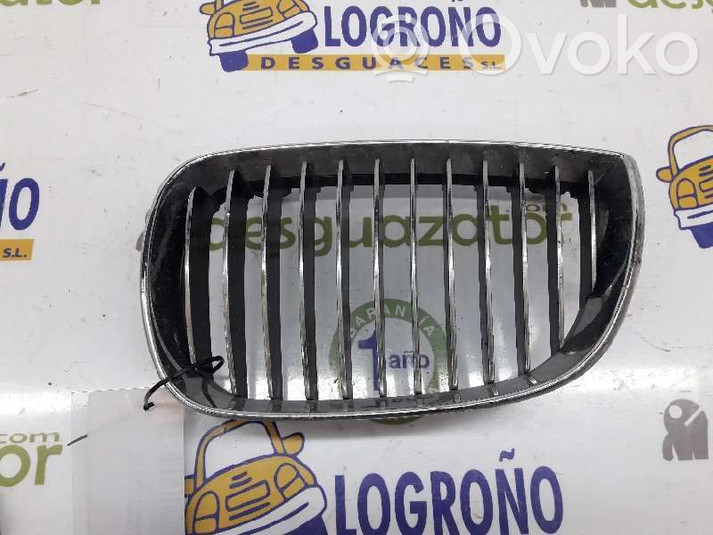 BMW 1 E81 E87 Front grill 