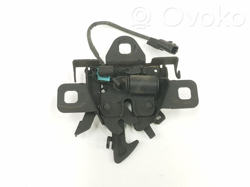 Tie down hook / loop   656016694R,656016694R
