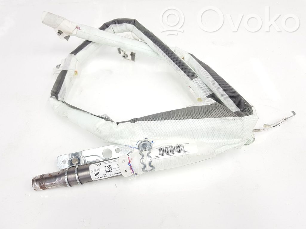 BMW X1 F48 F49 Airbag da tetto 
