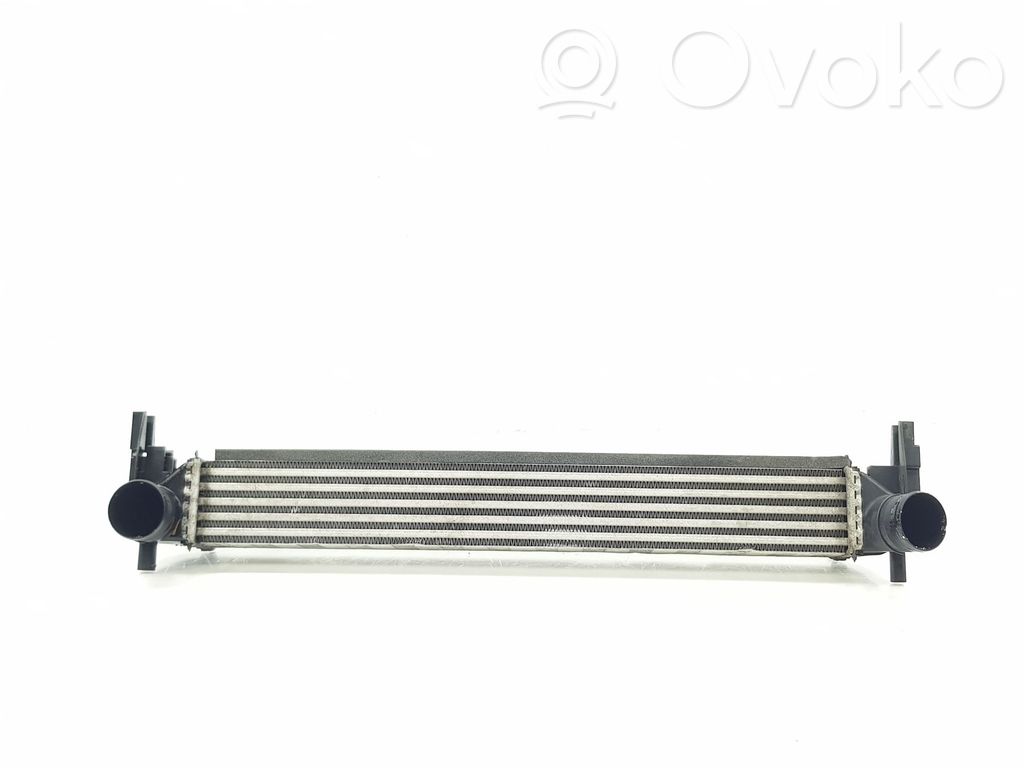 Volkswagen Polo V 6R Radiator intercooler 