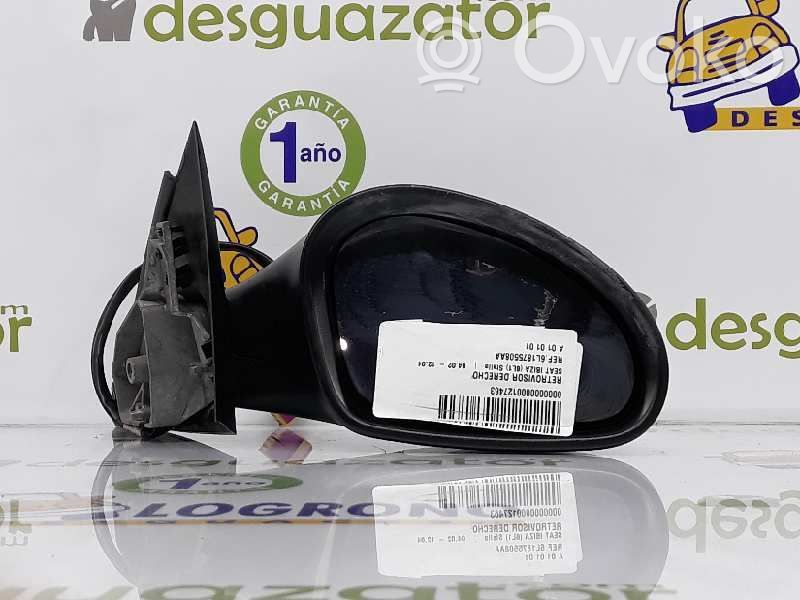 Seat Ibiza III (6L) Elektryczne lusterko boczne drzwi przednich 