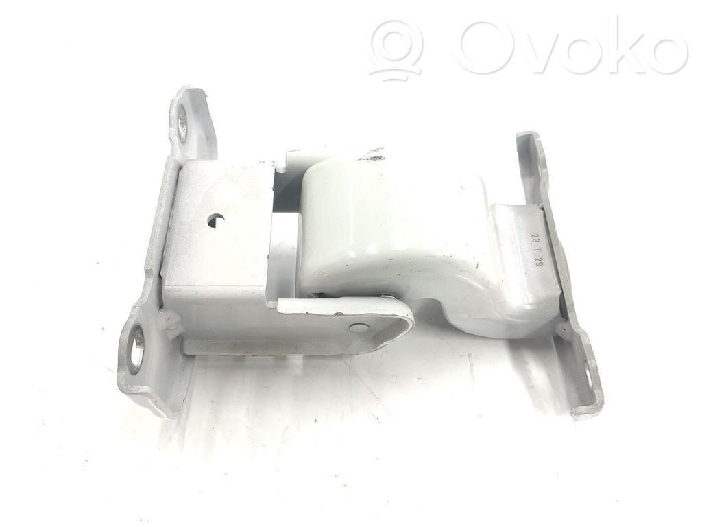 Renault Trafic III (X82) Set balamale ușă spate 