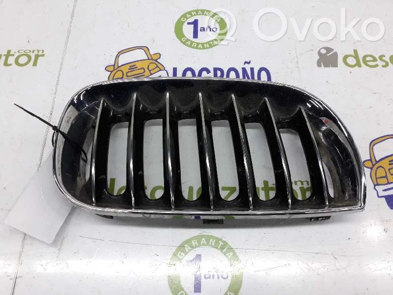 Front grill   51133414904,51133414904
