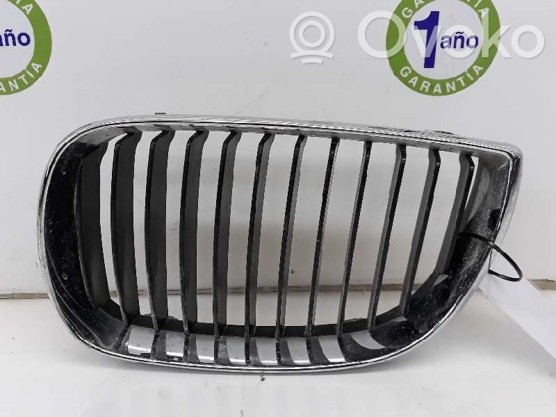 Kühlergrill   51137077129,51137077129
