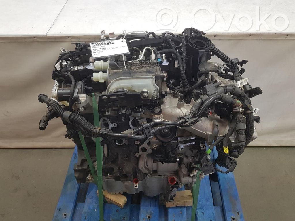 Variklis   B47C20B,11005A46209,11005A5D9971212CD