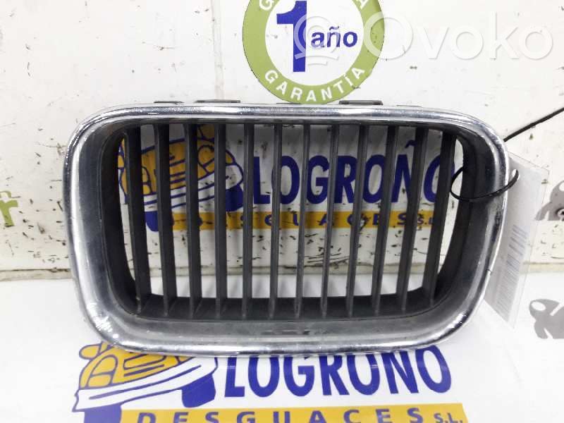 Front grill   51138122237,51138122237