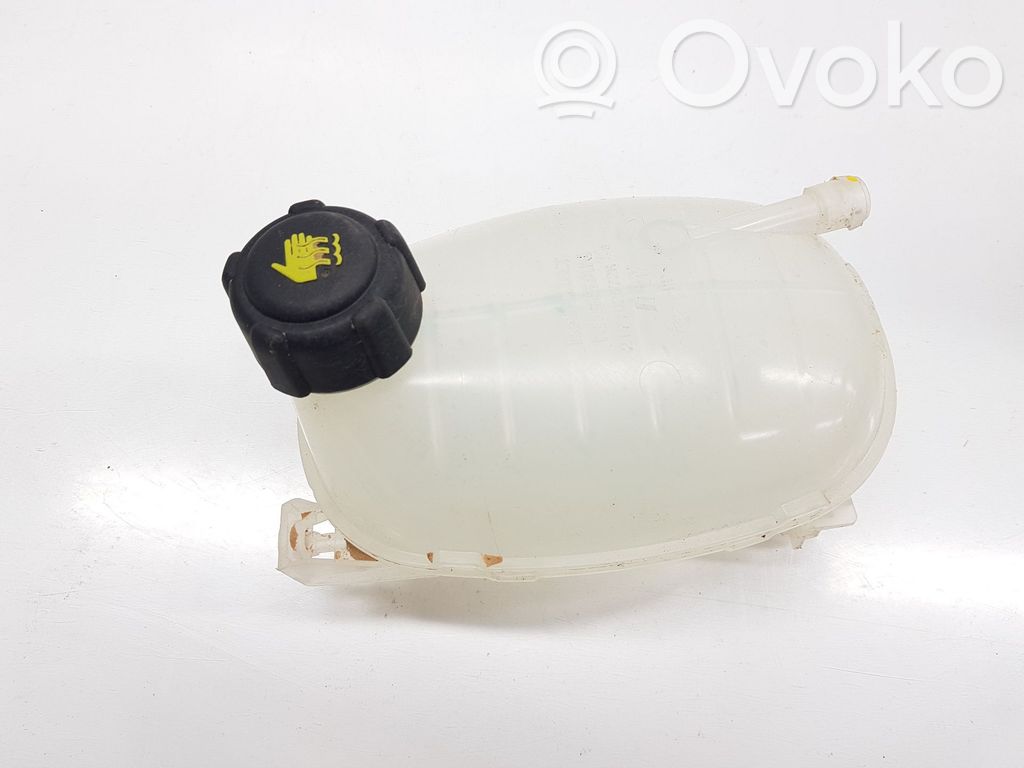 Dacia Sandero Serbatoio di compensazione del liquido refrigerante/vaschetta