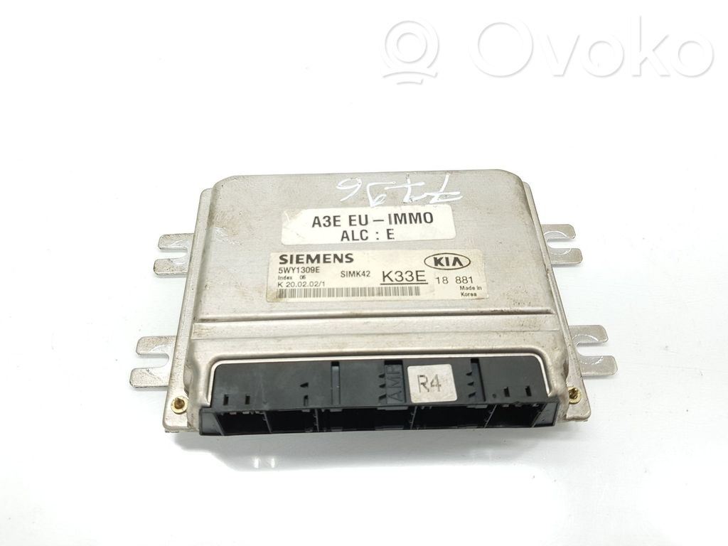 KIA Rio Engine control unit/module 