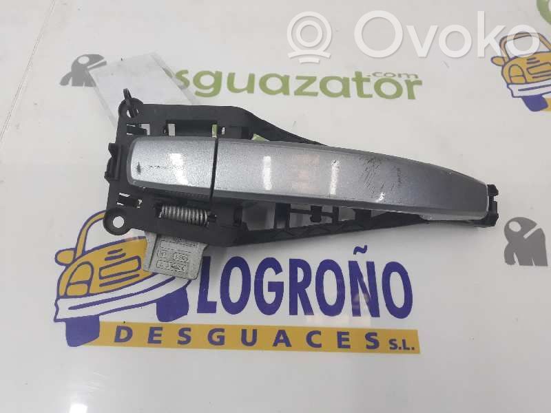 Manecilla externa puerta trasera   13255661,24463749,GRIS