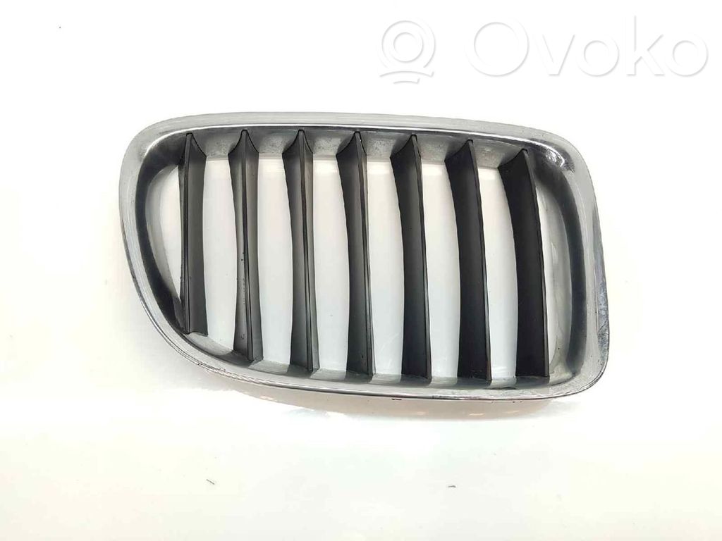 Kühlergrill   51112993308,51112993308