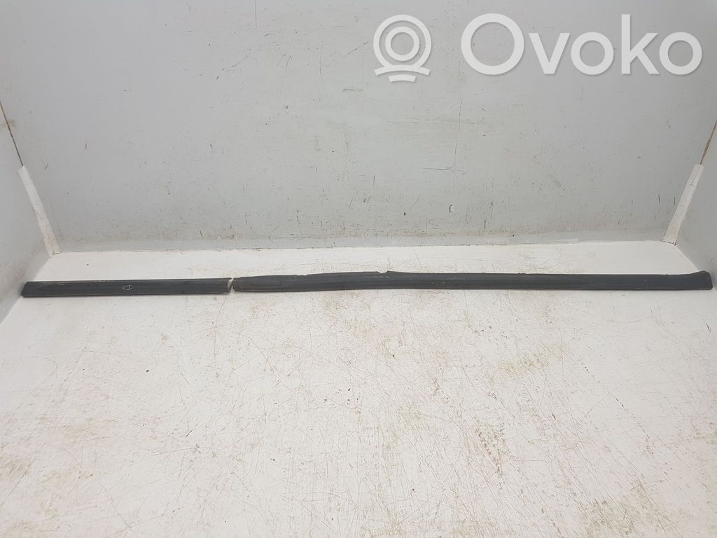 Ford Transit Sill/side skirt trim 