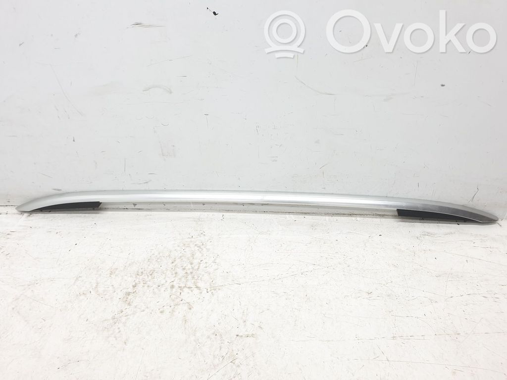Volkswagen Tiguan Binario barra tetto