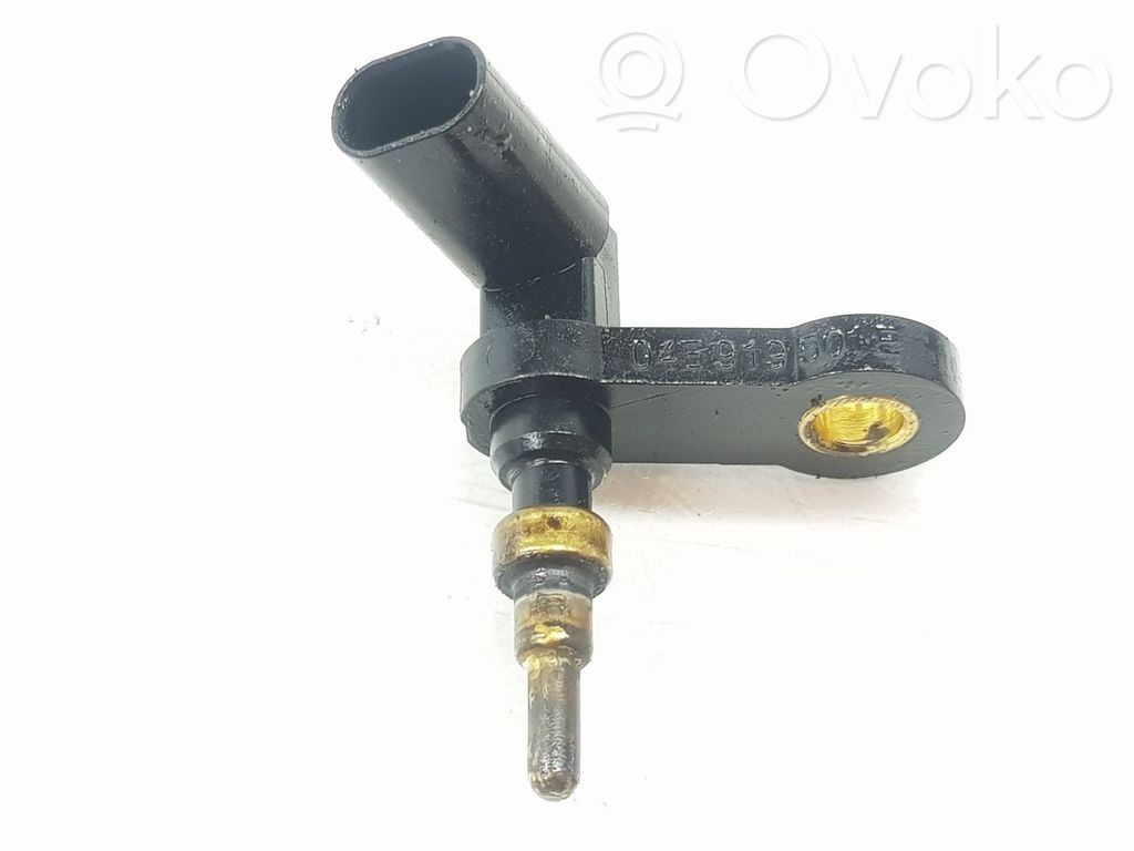 Anturi   04E919501B,04E919501B
