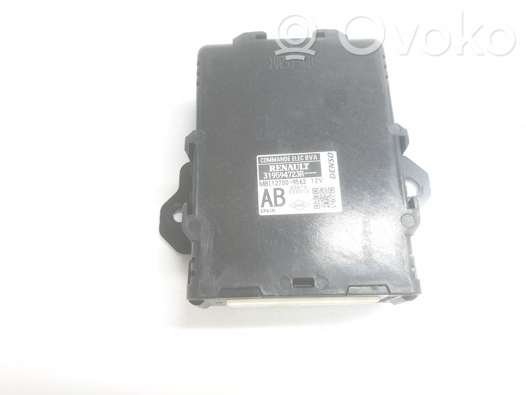 Autres unités de commande / modules   319594723R,319594723R