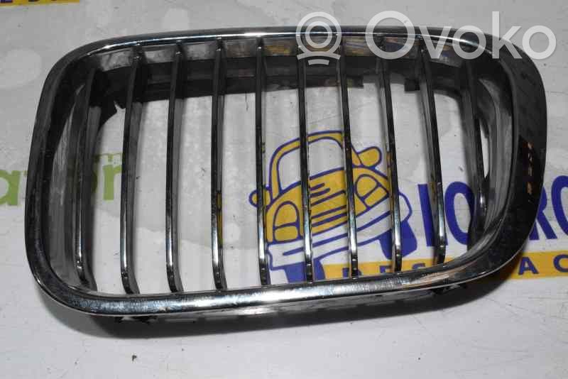 BMW 3 E46 Front grill 