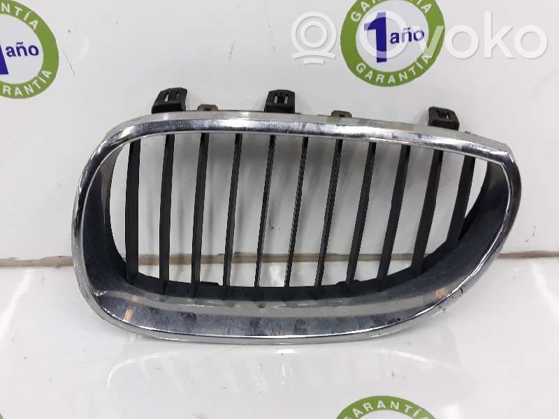 Rejilla delantera   51137027061,51137027061