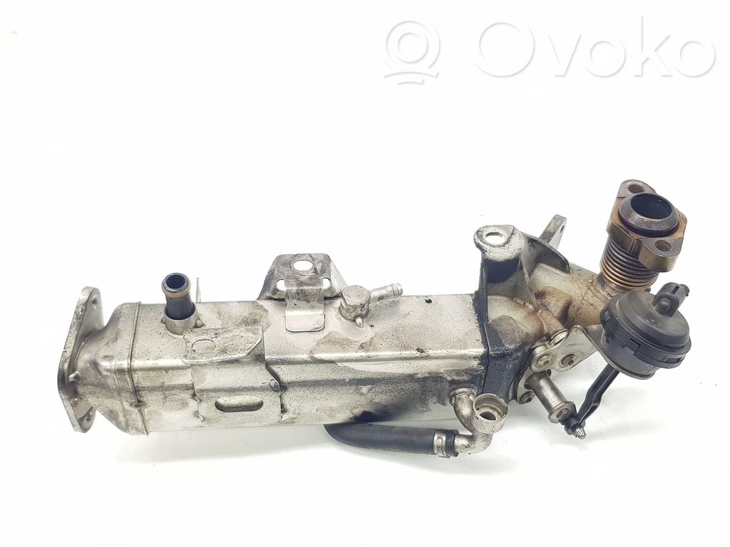 BMW 5 F10 F11 Valvola di raffreddamento EGR 