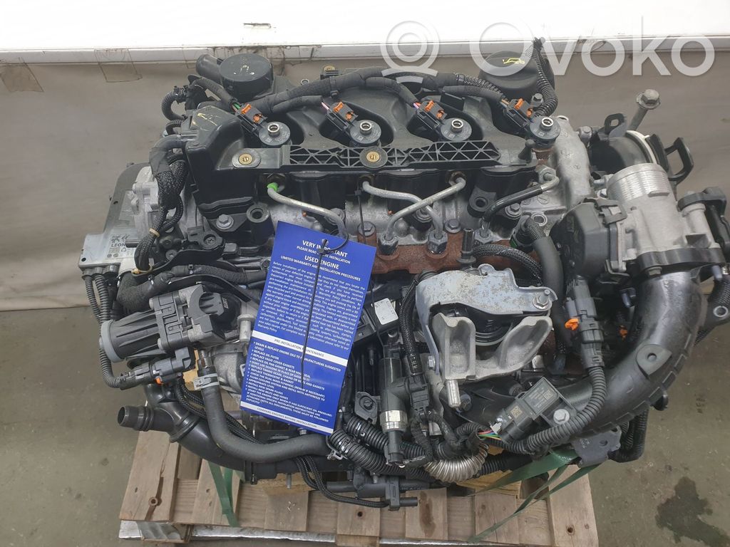 Peugeot Expert Silnik 