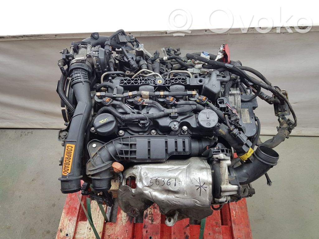 Citroen Berlingo Motor
