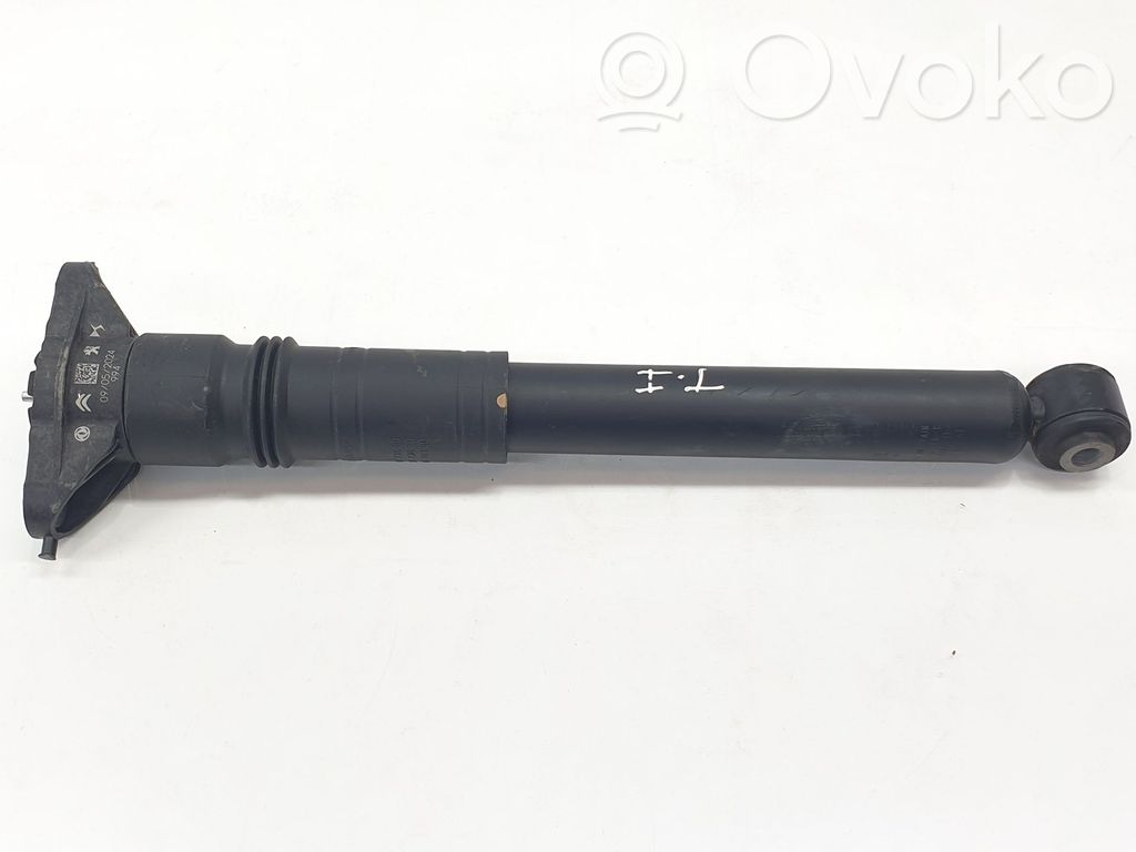 Stoßdämpfer hinten   9841379480,9841379480