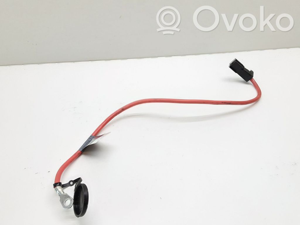 BMW 3 E90 E91 Pliusinis laidas (akumuliatoriaus) 