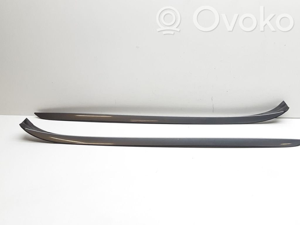 Windshield trim   7179204