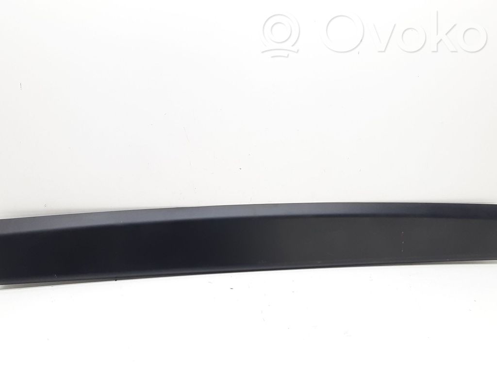BMW X5 E53 Other trunk/boot trim element 