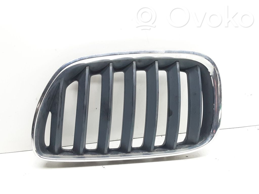 BMW X5 E53 Front bumper upper radiator grill 