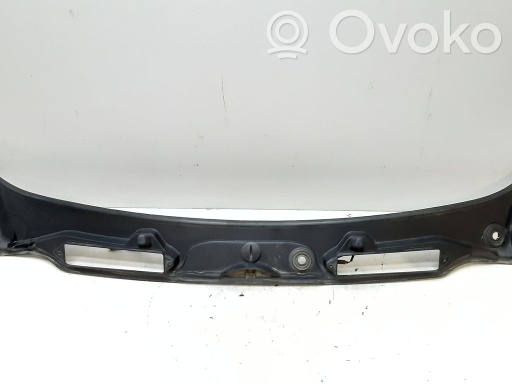 Wiper trim   7180743