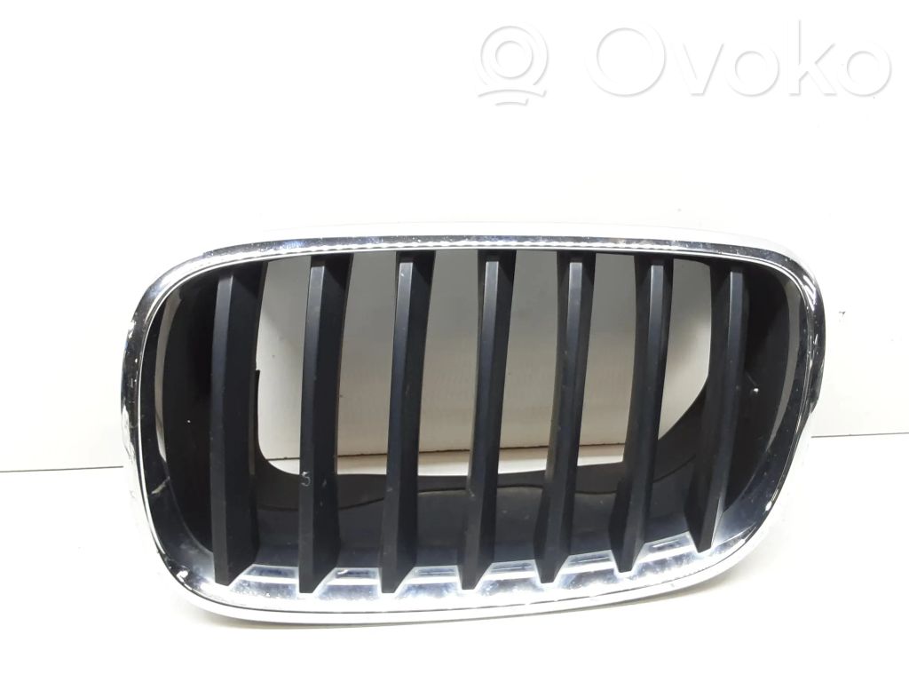 BMW X5 E70 Front bumper upper radiator grill 