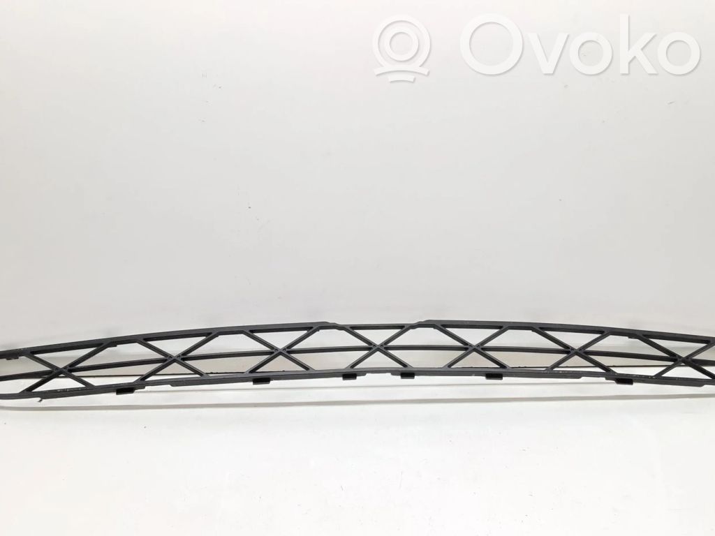 BMW X5 E70 Front bumper lower grill 