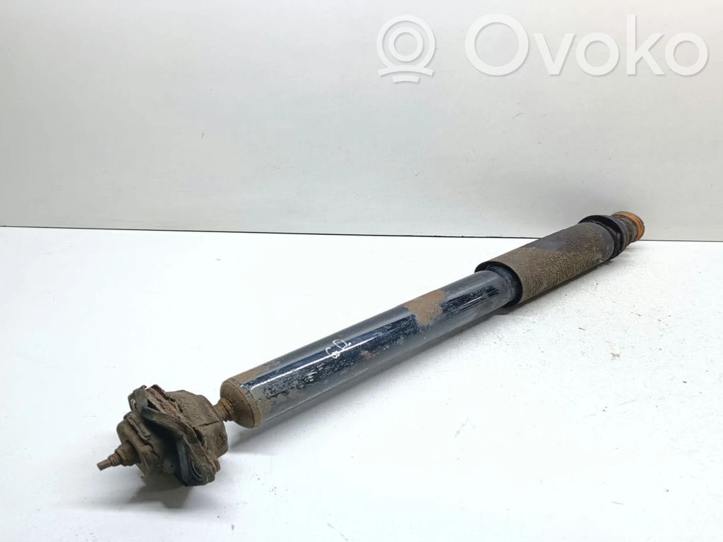 Rear shock absorber/damper