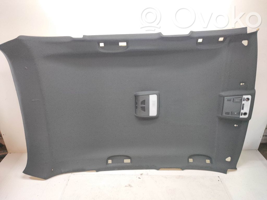BMW X1 E84 Headlining 