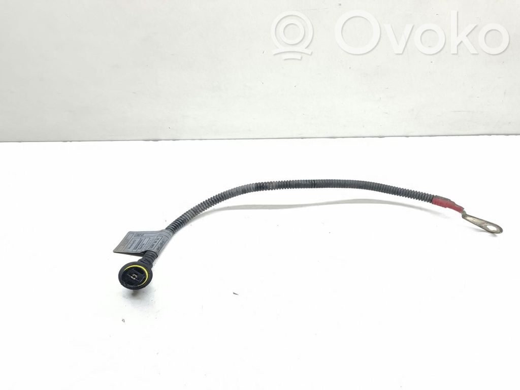 Plug wire   7793201