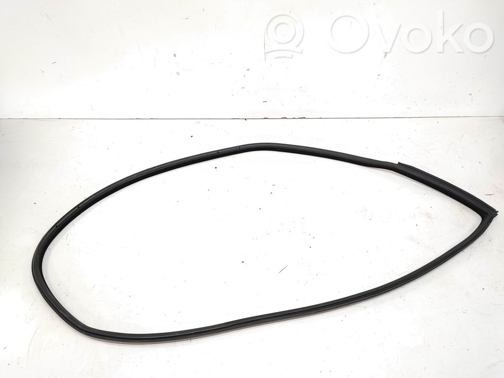 BMW 3 E92 E93 Front door rubber seal 