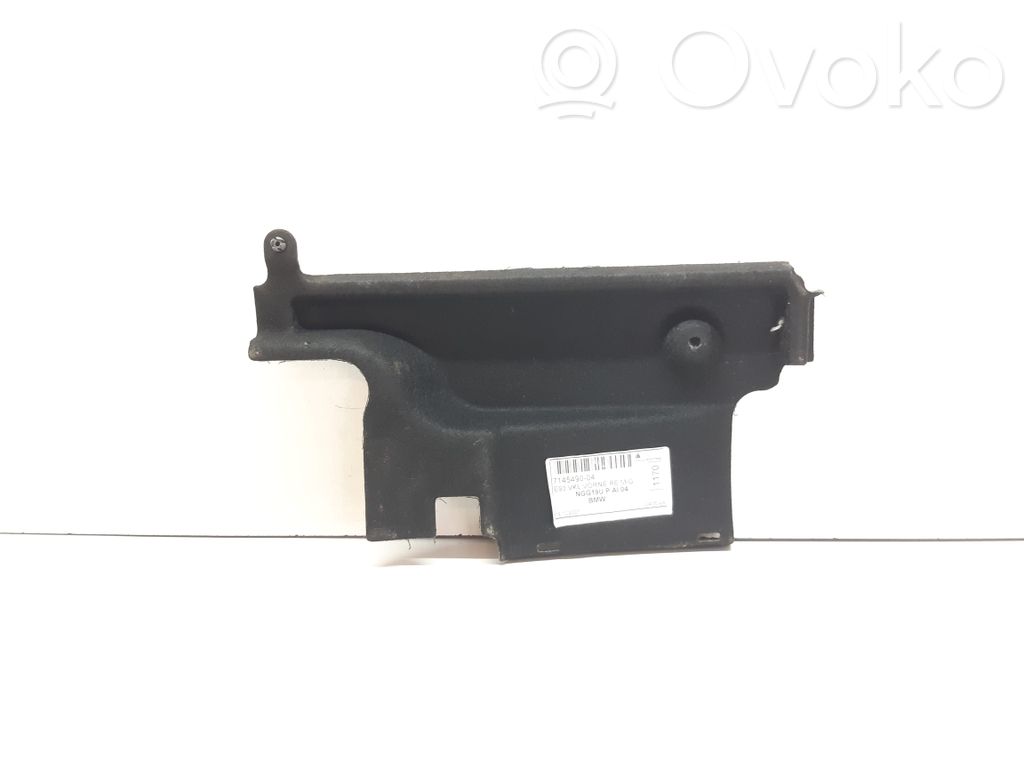 BMW 3 E92 E93 Other trunk/boot trim element 