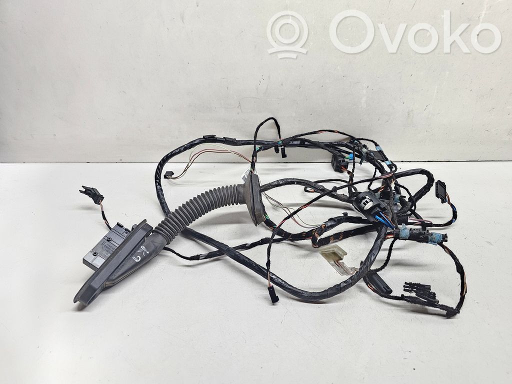 BMW X6 M Cableado de puerta trasera 
