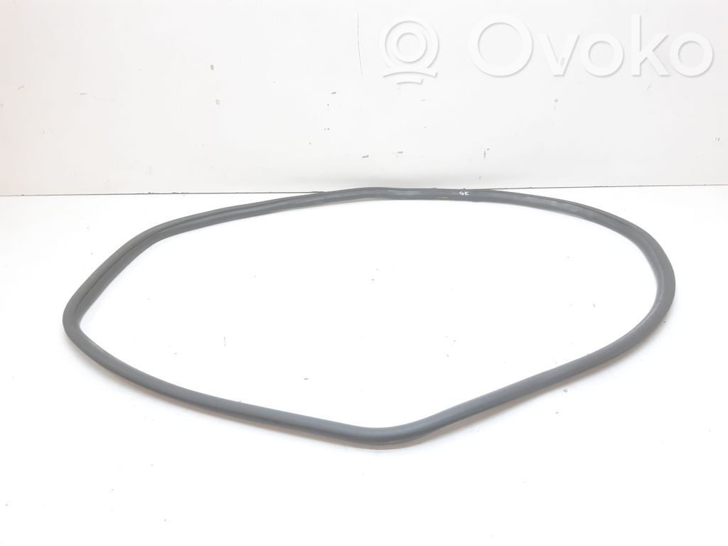 BMW 3 F30 F35 F31 Guarnizione in gomma portiera posteriore (sulla carrozzeria) 