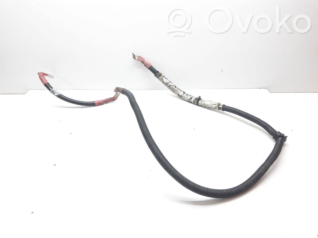 BMW X5 E70 Pliusinis laidas (akumuliatoriaus) 