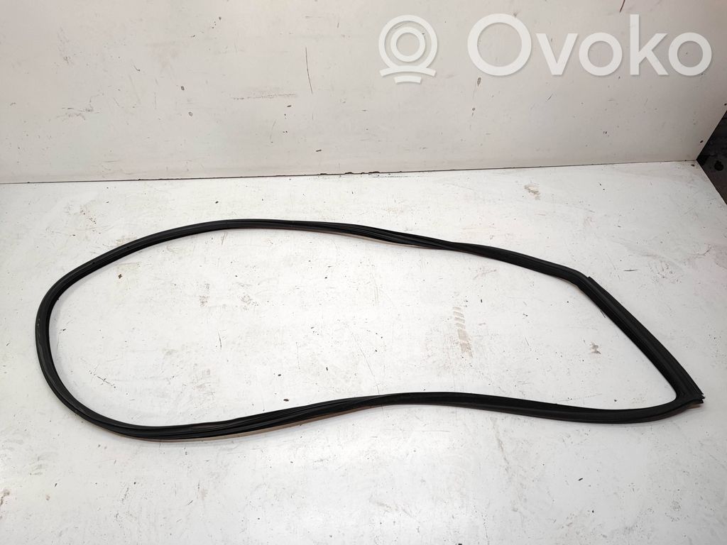 BMW 3 E92 E93 Front door rubber seal 
