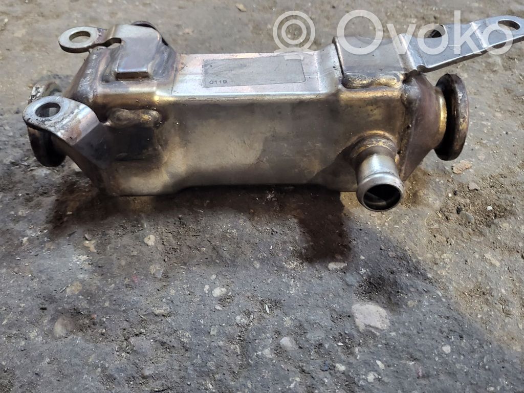 BMW 5 E39 EGR dzesētājs 