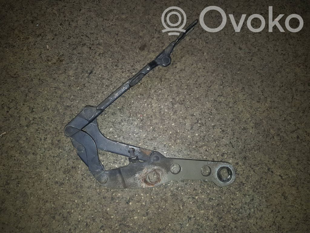 Konepellin saranat   41618200124