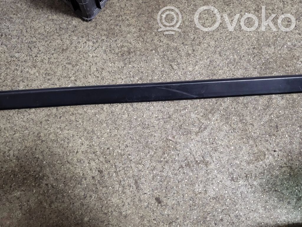 BMW 5 E39 Rivestimento portiera posteriore (modanatura) 