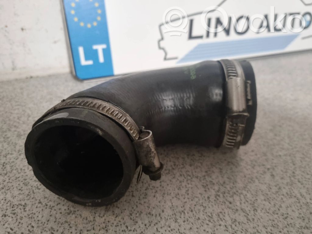 BMW 5 E39 Interkūlera šļūtene (-es) / caurule (-es) 