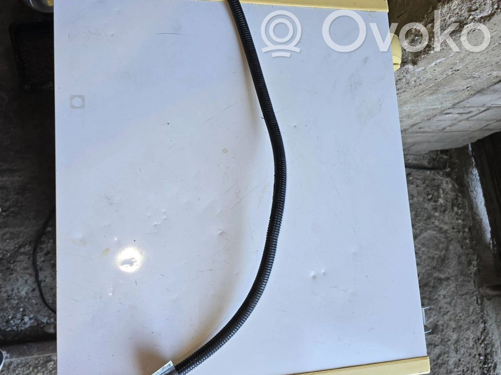 Cables (motor de arranque)   7789224,5116760