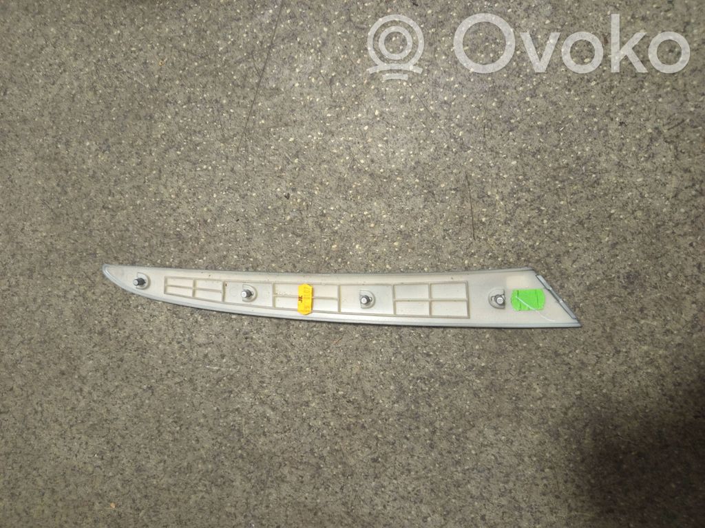 BMW X5 E53 Barra di rivestimento della portiera anteriore 