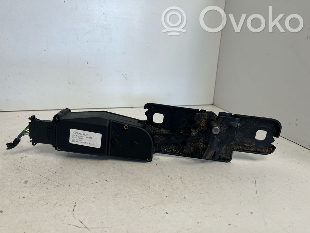 Audi Q5 SQ5 8R Siłownik elektryczny podnoszenia klapy tylnej / bagażnika 