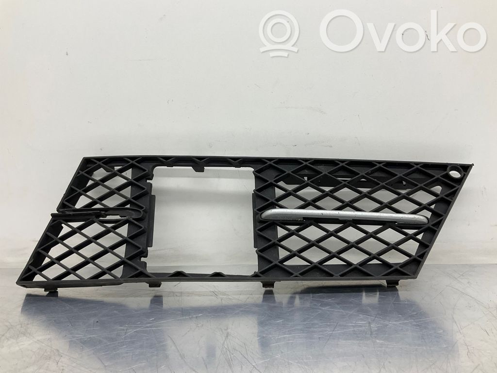 BMW 5 E60 E61 Front bumper lower grill 